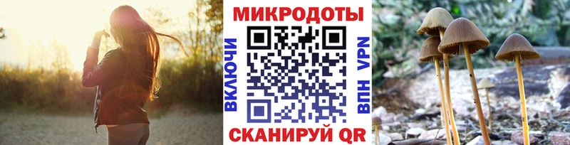 нарко площадка официальный сайт  Каспийск  Псилоцибиновые грибы Psilocybine cubensis 