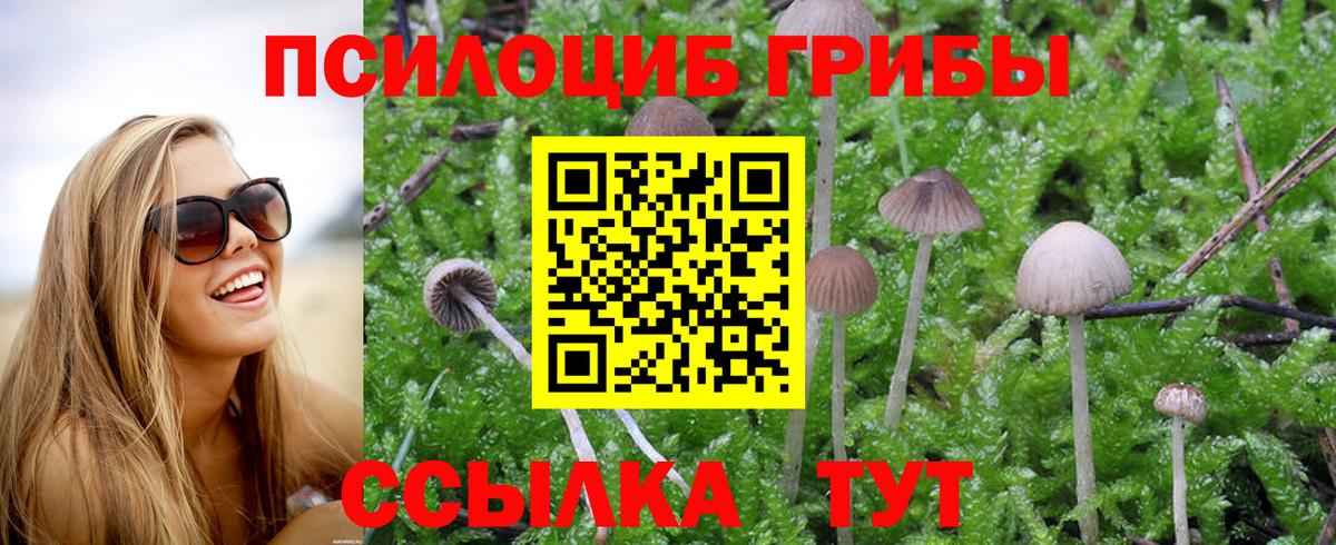 Псилоцибиновые грибы мицелий Каспийск