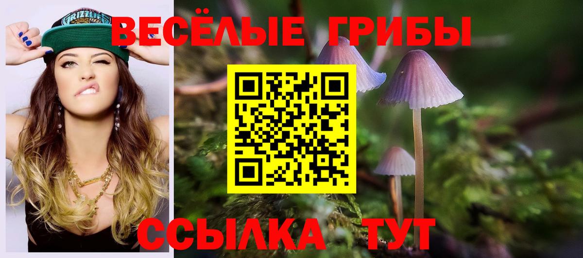 Галлюциногенные грибы прущие грибы  Вход с VPN  Каспийск 